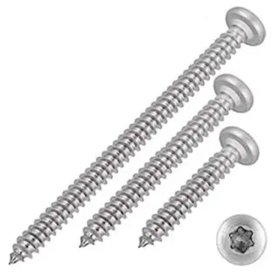 Šroub DIN 7981C ocel 6,3x19 ZB, Torx