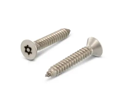 Art. 9122 Šroub pojistný 4,8x25 nerez A2, zápustná hl., Torx-PIN 25