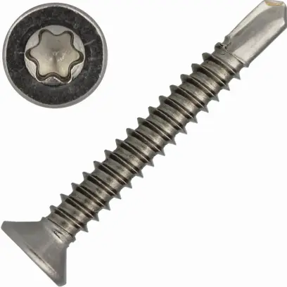 Šroub samovrtný DIN 7504P nerez A2 5,5x38 Torx