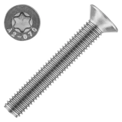 Šroub ISO 14581 nerez A2 M4x10 Torx