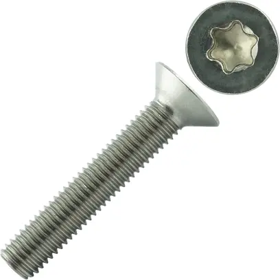 Šroub ISO 14581 8.8 M8x25 ZB Torx